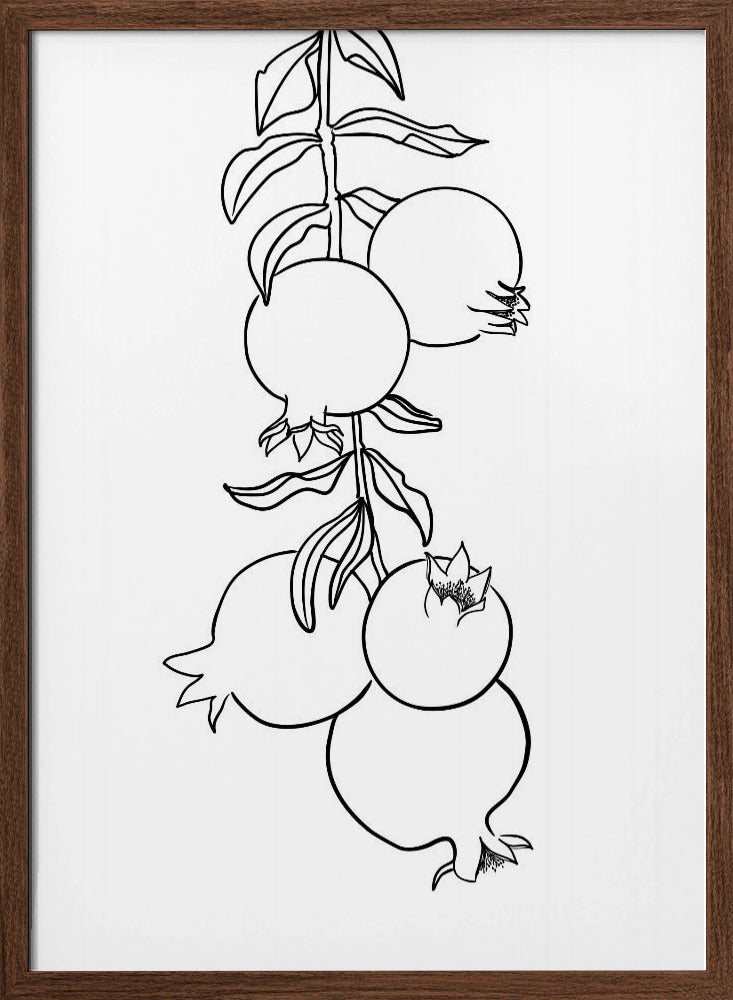 Branch of pomegranates Poster